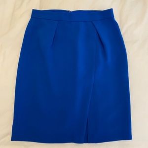 Jcrew Skirt